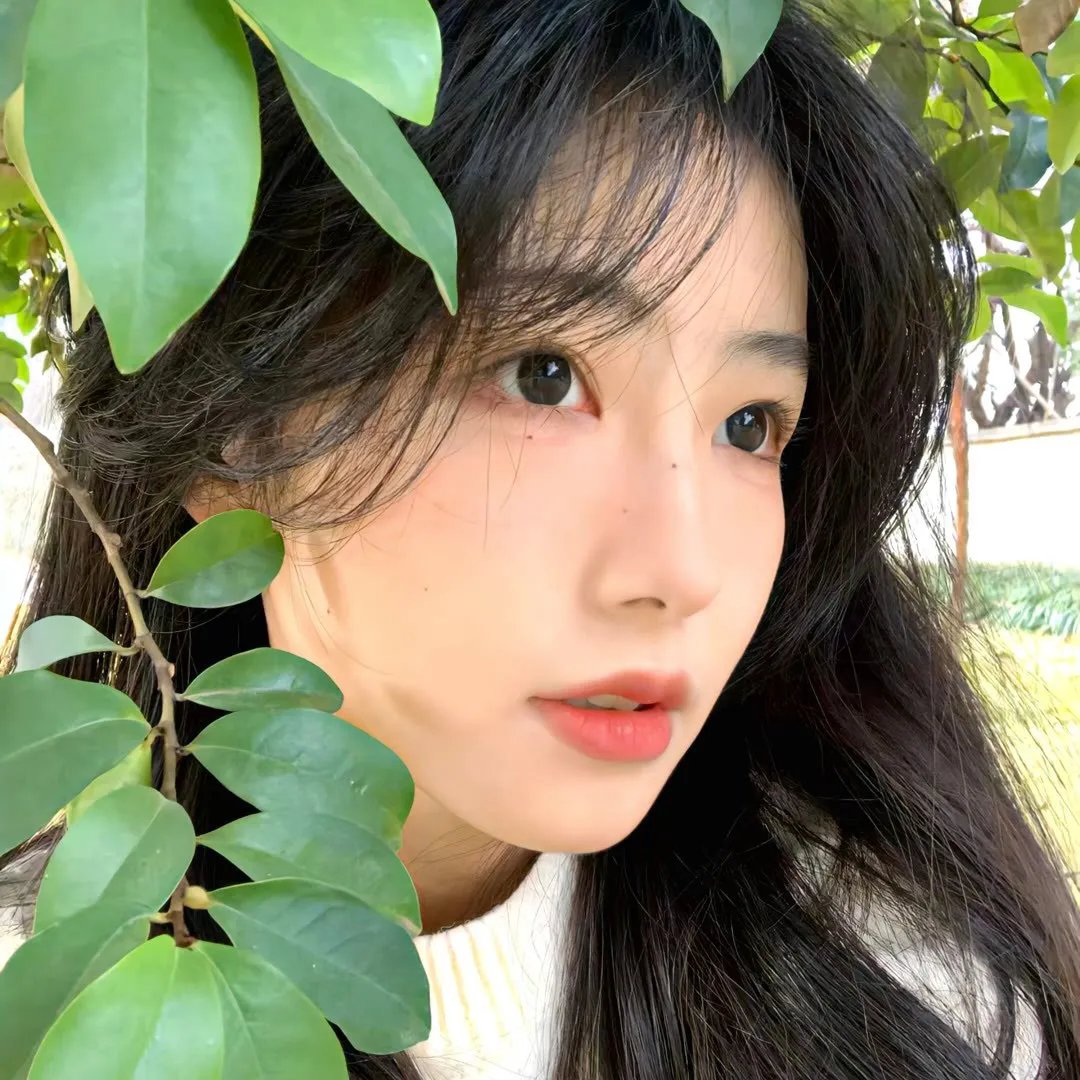 导演请留步