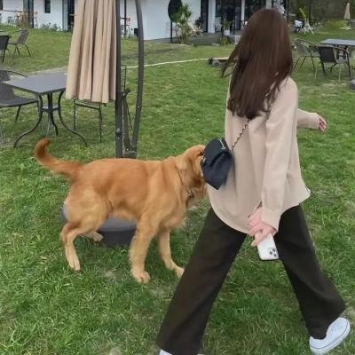 如花美眷